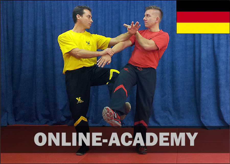 wing-tsun-online-academy-5pg-dt